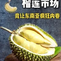 中国榴莲市场究竟有多大?为啥会让东南亚疯狂争抢? #榴莲 #科普 #美食 #抖音年味争霸赛 #抖音美食创意大赛