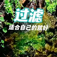 有大佬好奇我的过滤，给刚入坑的大佬们提供一点思路，一套过滤带两个缸，两个主缸（90*90*55+120*80*30）加三个水泵仓（叫存水仓也可以，60*40*34+64*40*34+80*40*34）差不多接近1000升水，蒸发10几天加一次水，想起来就换一次水，养鱼懒一点好。
#原生造景 #过滤系统 #鱼缸过滤 #新手养鱼  #创作者扶持计划