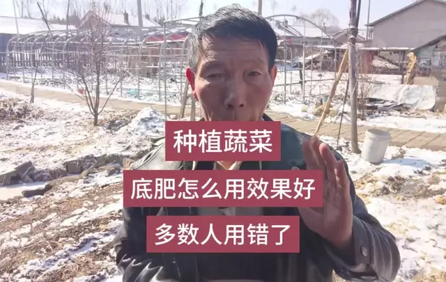 种植蔬菜，底肥怎么用效果好？多数人用错了 #上热门🔥
