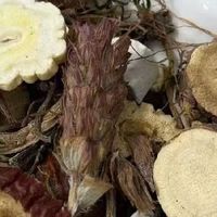 中药材养生茶 蒲公英夏枯草 清腺散结超省心