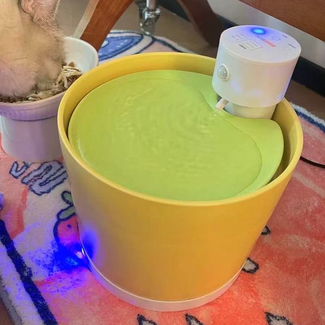 我家猫终于主动喝水了🐱✨第五代喵享家无线恒温饮水机封神