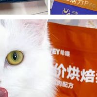 猫粮一般多少钱？2026实测希喂、鲜朗、豆柴猫粮怎么样
