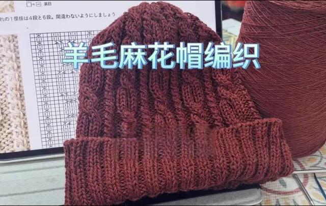 适合新手复古羊毛麻花帽编织第二集花样的演示   #毛线编织 #棒针教程 #帽子编织教程 #我的手工日常