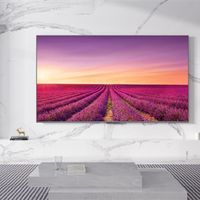 国产电视占比破95% 外资电视集体遇冷：三星索尼月出货仅几万台