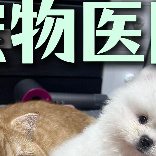 宠物医院最怕铲屎官知道的4件事