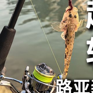 超轻+高感度的路亚装备分享