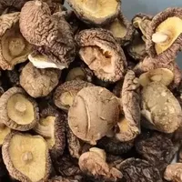 拼夕夕的便宜好物，只求千万别那么快下架~ | 开年第二弹！