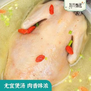 东方甄选长汀河田鸡｜冷冻也锁不住的山野鲜，1kg整只太香了✨