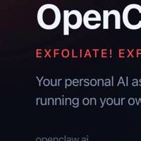 “小龙虾”搅炸全网!OpenClaw爆火背后,普通人也能抓的大机会!