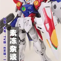 RG飞翼零式：谁敢上去开一下？ #万代 #高达模型 #手办模型 #COS发电计划 #胶佬