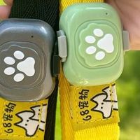 人在韩国狗在山东，68宠物定位器这也能用？？