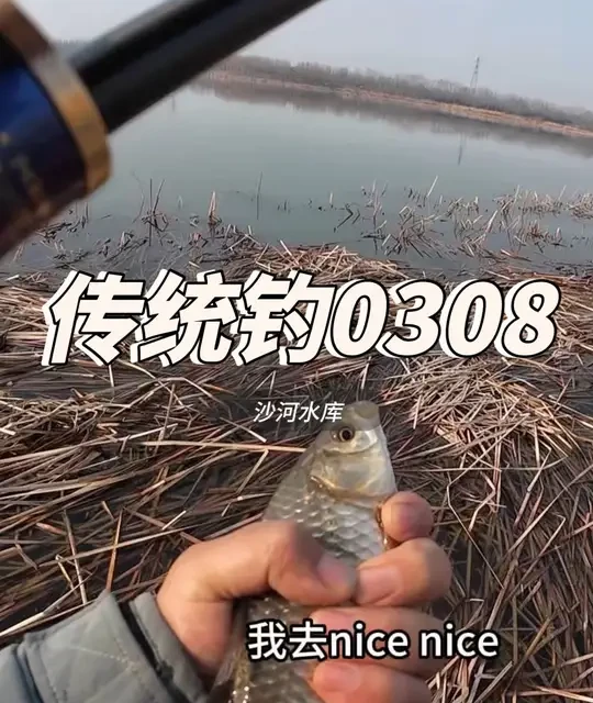 2026.3.8沙河水库传统钓，一天的鱼情讲解，收藏耐心观看 #钓鱼的乐趣只有钓鱼的人懂 #创作者中心 #创作灵感