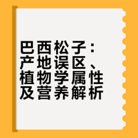 巴西松子:产地误区、植物学属性及营养解析