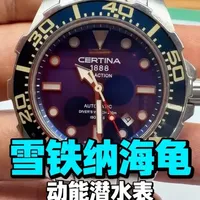 雪铁纳维修保养，秒轮宝石碎裂。#一张照片说明你的专业 #雪铁纳 #雪铁纳海龟 #2824机芯 #手表维修保养