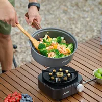 一体式露营炉真能兼顾火力与控温？三类结构实测拆解，按场景选才不踩坑