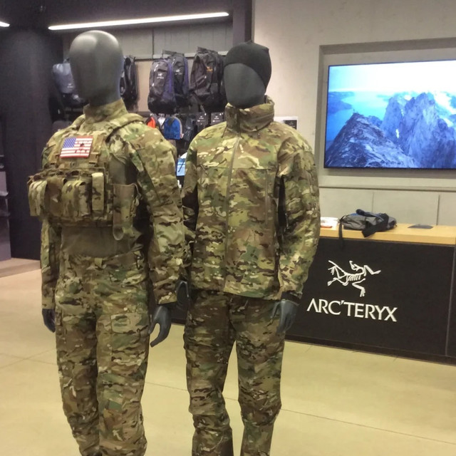 买到真军鸟了！军鸟和普通始祖鸟差在哪？解禁后普通人值得入吗？