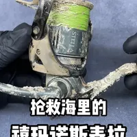 海里的斯泰拉 钓到的禧玛诺斯泰拉？ #渔轮维修保养 #斯泰拉维修保养 #斯泰拉反转 #纺车轮维修保养 #渔轮维修保养培训