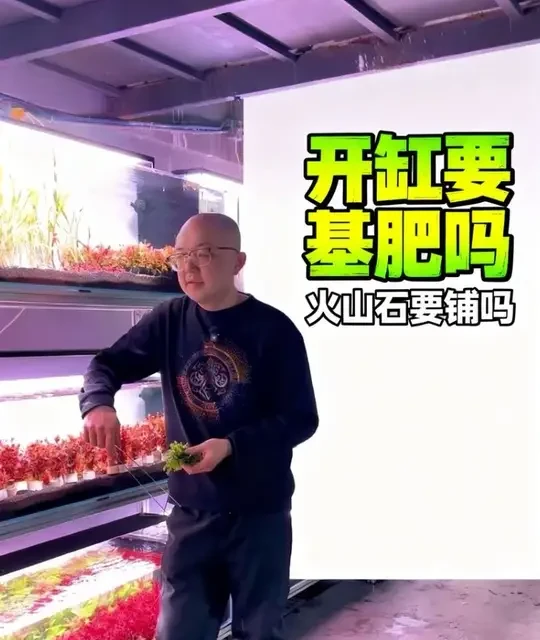 水草缸开缸需要铺基肥吗？需要水草泥下面铺火山石吗？#水草缸 #鱼缸造景 #水草造景