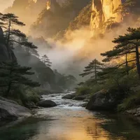 放心烤，费不了多少电。 #亲测分享  #电烤灯  #理疗灯  #电磁波烤灯
