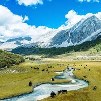 亚丁重返天空跑，Merrell迈乐2026稻城亚丁天空跑越野赛今日10点开报！