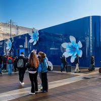 TCL SQD-Mini LED 电视亲测，冰雪观赛的体验直接拉满