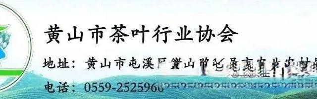 关于黄山毛峰等级别称的思考和建议