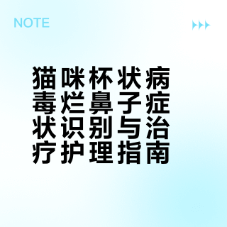 猫咪杯状烂鼻子