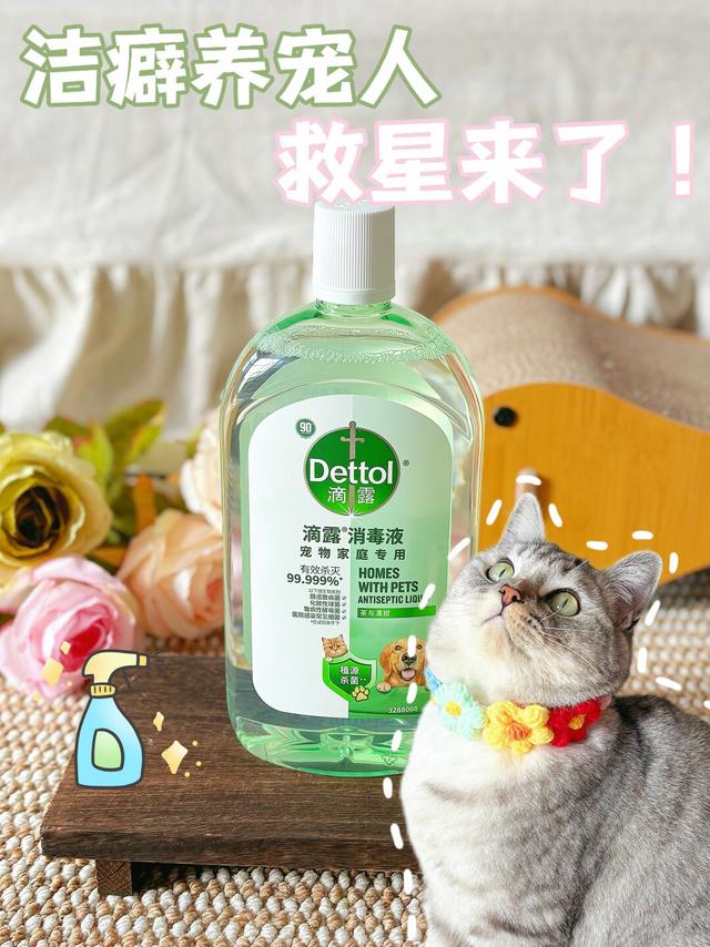 洁癖养猫人福音！这消毒液真的能处