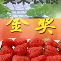 11月4日 你吃过什么草莓？#农业 #草莓