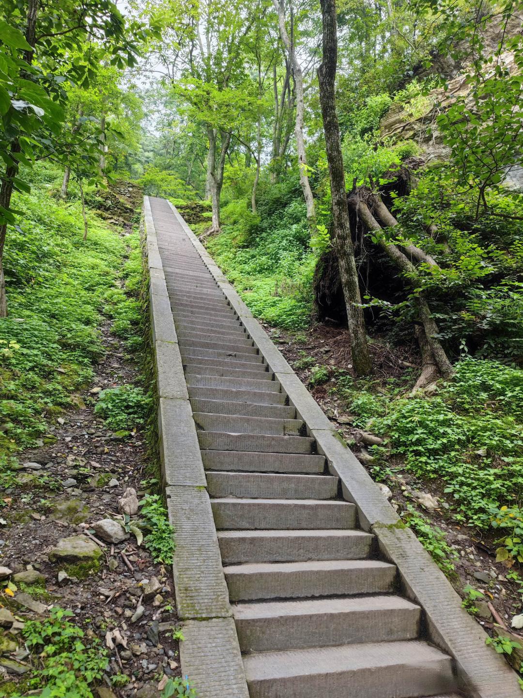 泰山游客远超黄山,别只说因为好爬,这三点才是关键
