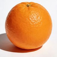 中国有助于润肺止咳的六种水果