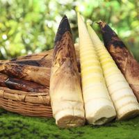 4 种蔬菜承包你的 “肠道自由”，从此生活 “便” 得更轻松