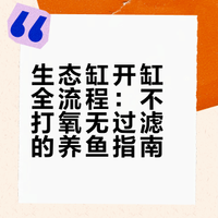 生态缸开缸全流程，不打氧无过滤养鱼。 慎月早慎的微博视频