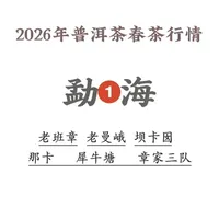 2026年普洱茶春茶行情：勐海产区价格解析与选购建议