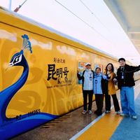 一价全包,好评如潮!昆明号,用一张“票”环游云南,10-90岁都喜欢!