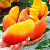 海南热带水果系列（三）：芒果揭秘：贵妃、金煌、台农谁最甜？