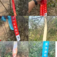 山野不是“飘带垃圾场”！户外徒步，别让