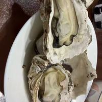 小文哥乳山生蚝｜一口鲜到跺脚！烧烤党必囤的肥美海蛎子