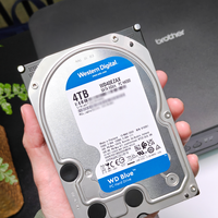 AI爆火存储涨价？别慌！长期使用高性价比还得西部数据蓝盘