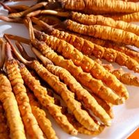 2026冬虫夏草最好的牌子？十大品牌重金属及农残检测报告放心品牌