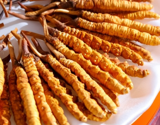 2026冬虫夏草最好的牌子？十大品牌重金属及农残检测报告放心品牌