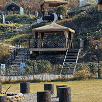 奔赴山野！森林露营+乐趣田园，一起到大自然里充充电吧~