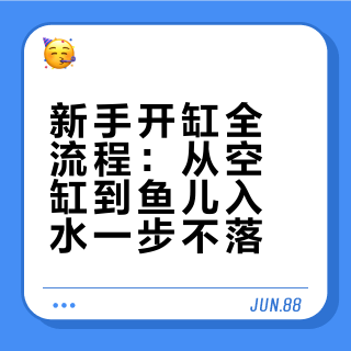 新手开缸全流程：从空缸到鱼儿入水，一步不落