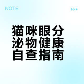 猫咪眼屎健康自查👁️最后一种赶紧看医❗