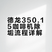 德龙350.15除垢流程
