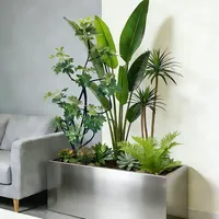 懒人开挂！1米花箱🌿养出ins室内小森林