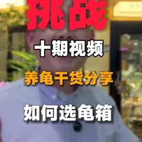 挑战十期视频,让你从养龟小白到养龟高手(第二期) #养龟干货 #龟缸过滤 #小津桥老王