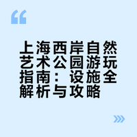 上海免费🆓超美无动力乐园🛝娃玩到不想走