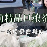 【松栖】这么好的原料，斤价才360，现在的乌牛早性价比可真高啊！作为早春精品口粮绿茶，口感真不错！