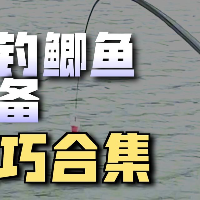 白鹤冲水库春季传统钓